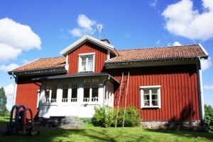 「森の中にワンダーランド」