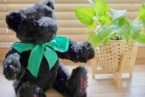 「子供の初めて記念、乳歯やファーストカットの思い出の残し方」