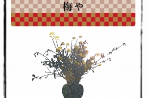 チラシ作成承ります♪