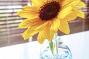 お花と花瓶の選び方でインテリアをもっとオシャレに