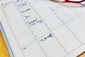 健康バランスを整えて、行動力アップ!