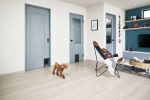ペットが喜ぶプラスワン!リフォームプランナーが選ぶオススメペット建材3選